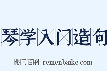 琴学入门造句是什么意思的图片